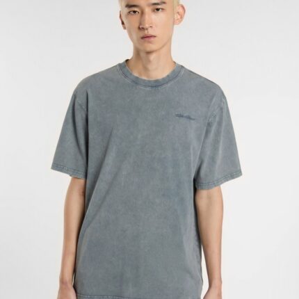 חולצת טי קצרה PLENTYWOOD dickies.