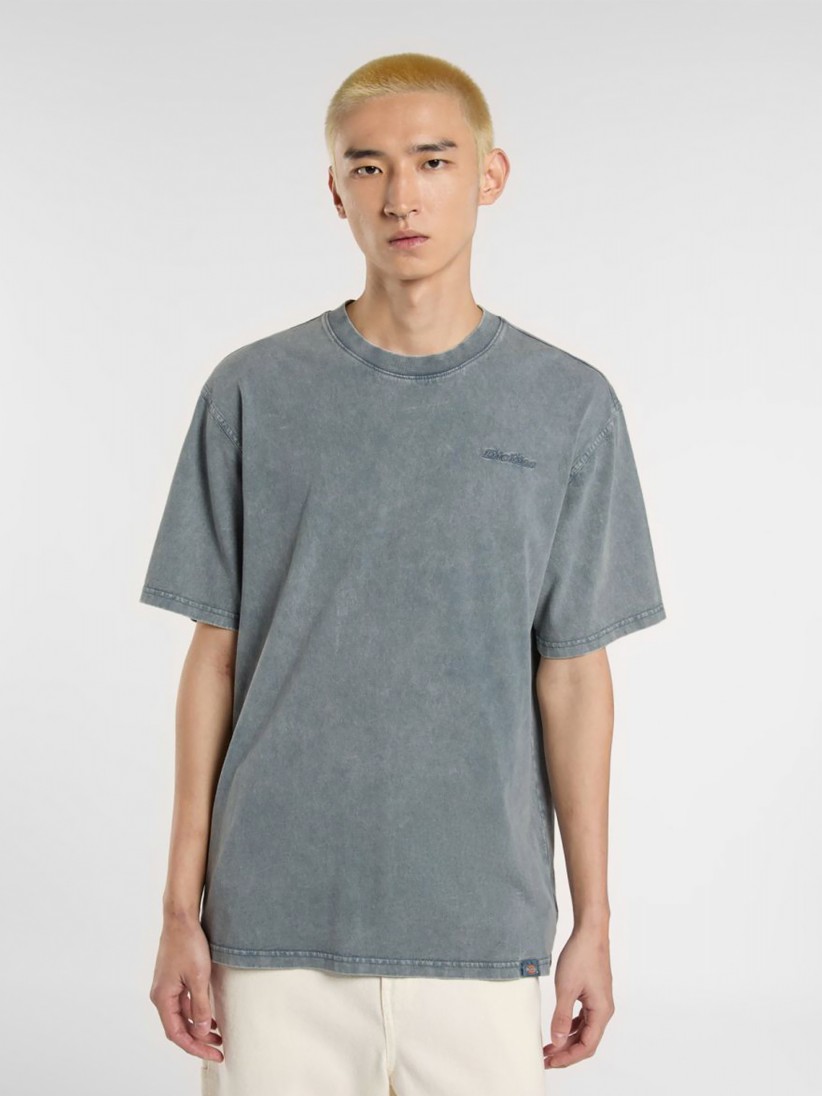 1741175816_9dc554e9261f17a4bbbdcd792b77e038 חולצת טי קצרה PLENTYWOOD dickies.