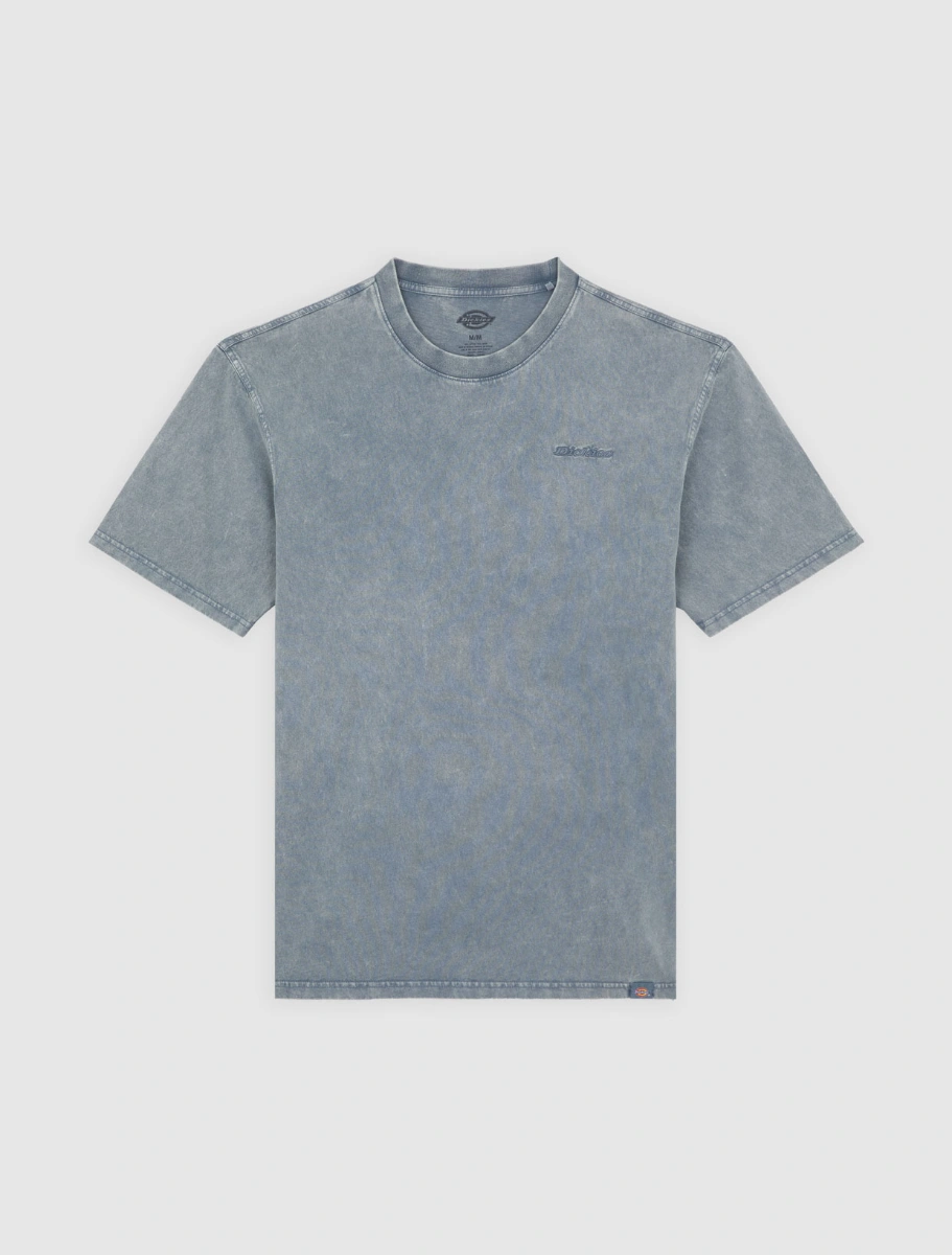 DK0A866BG701-50 dickies חולצת טי קצרה PLENTYWOOD