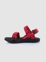 w416570013-31712760693