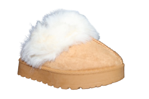 IMG_1642-removebg-preview